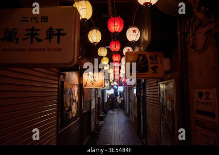 L'iconico Ramen Alley di Sapporo di notte. Lanterne luminose e insegne tradizionali fiancheggiano lo stretto sentiero, evocando un'atmosfera culinaria calda e nostalgica. Foto Stock