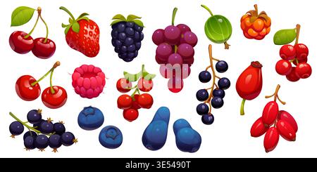Set di cartoni animati con succose ciliegie, lamponi, fragole e mirtilli, mirtilli, mirtilli, ribes nero, uva e uva spina, rosehip maturo, spinoso marino, torbido. Bacche estive vettoriali Illustrazione Vettoriale