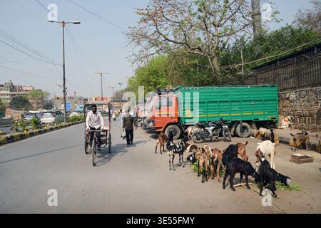 La vivace Asaf Ali Rd di fronte alla porta Turkman a Delhi, India. Foto Stock