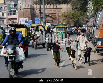La vivace Asaf Ali Rd di fronte alla porta Turkman a Delhi, India. Foto Stock