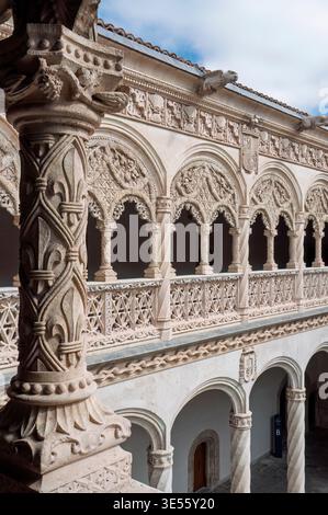 Patio decorato in stile gotico Isabellino del Colegio de San Gregorio a Valladolid, in Spagna, con intricate incisioni in pietra, gallerie ad arco e colonne. Foto Stock