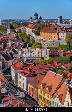 Città di Tallinn in Estonia. Paesaggio urbano della storica città Vecchia (Vanalinn) nella capitale. Foto Stock