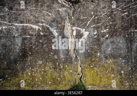 Vecchia parete di cemento con crepe, strutture e muschio verde Foto Stock