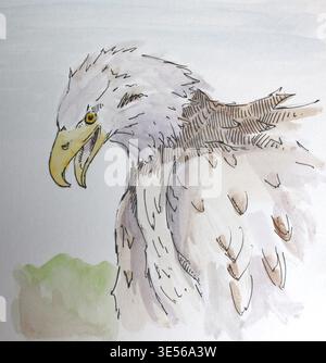 Disegno a inchiostro fatto a mano e acquerello di un'aquila su carta bianca. Grafica disegnata a mano in formato jpeg. Foto Stock