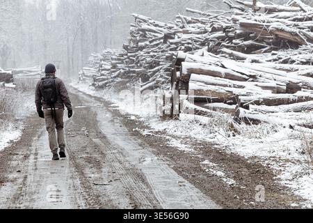 Un uomo solitario cammina lungo una strada boschiva fangosa accanto a grandi pali di tronchi innevati, trasmettendo solitudine, fredda atmosfera invernale, esplorazione all'aperto e un Foto Stock