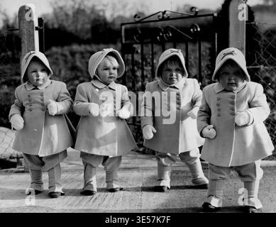 Anche loro sono The Goods and Walking!: Qui, ognuno con i suoi piedi, ci sono i buoni quadrupletti - nella foto per la prima volta che cammina. E ragazze molto intelligenti guardano, anche loro, con eleganti abiti e guanti in tre pezzi; giusto per i rigori dell'inverno. I quadretti sono (da sinistra a destra) Jennifer, Bridget, Elizabeth e Frances - Frances, che ha voglia di fare un'escursione frenetica, è un passo su due davanti alle sue sorelle. Ora che hanno quasi 17 mesi, i quadrupli sono i dauhgters del signor e della signora Charles Good. Sono visti al cancello della casa dei loro genitori a Westerleigh, nel Gloucestershire. 4 novembre 194 Foto Stock