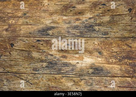 Finitura rustica in legno Foto Stock