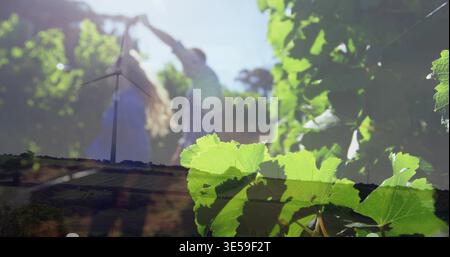 Evidenziando foglie di vite illuminate dal sole in primo piano a destra, coppia offuscata che solleva le braccia nel vigneto Foto Stock