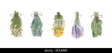 Set di fasci di erbe essiccate con camomilla, salvia, tanica blu, lavanda e menta. Acquerello botanico dipinto a mano di erbe isolate per etichette Foto Stock