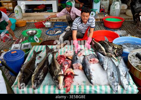 Un uomo smista pesce fresco in un mercato a Phu Quoc Vietnam. Altri stanno preparando le loro bancarelle e esponendo frutti di mare in vendita. Foto Stock