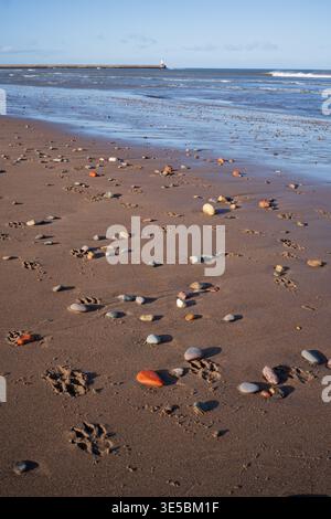 Sands e il faro di Spittal Beach Foto Stock