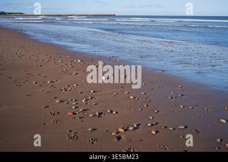 Sands e il faro di Spittal Beach Foto Stock