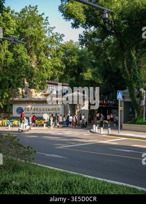 Wuhan, Cina - 16 giugno 2025: Porta d'ingresso principale dell'Istituto di idrobiologia Accademia cinese delle scienze delimitata da grandi alberi verdi. L'immagine Foto Stock