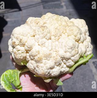 Il fruttivendolo tiene in mano un grosso cavolfiore. Foto Stock