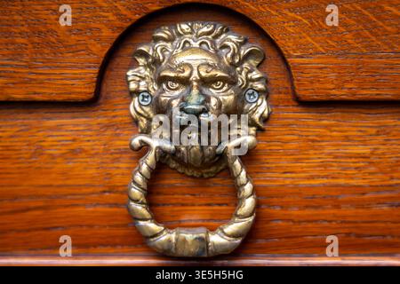 Porta a battente in legno con testa di leone antica. Primo piano di un battitoio decorato a testa di leone in ottone montato su una porta in legno lucido, che mostra un design vintage Foto Stock