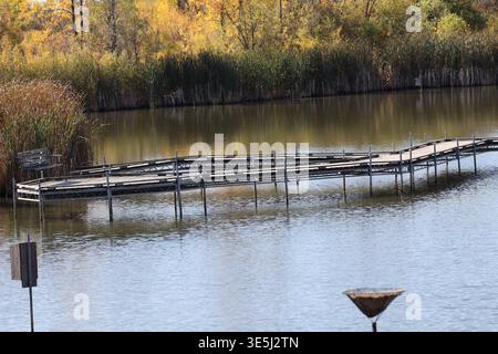 panca rustica in legno sul lungomare sopra il tranquillo stagno al sole della mattina autunnale (stagionale) Foto Stock