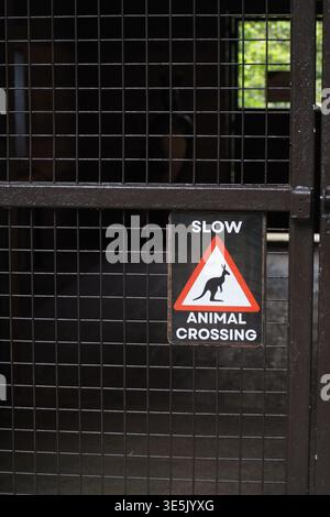 Il cartello avverte dell'attraversamento di animali in uno zoo Foto Stock