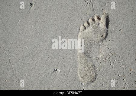Impronta umana impressa nella sabbia asciutta della spiaggia con piccole conchiglie sparse sulla superficie in un ambiente costiero all'aperto Foto Stock
