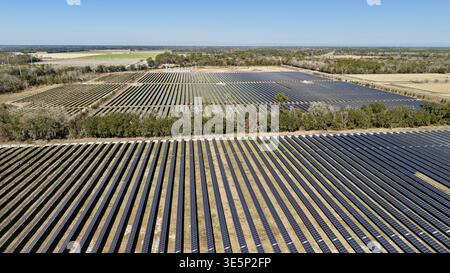 Vista aerea di file su file di pannelli solari che si estendono attraverso il paesaggio, scintillanti sotto la luce del sole, Elkton, Florida, Stati Uniti. Foto Stock