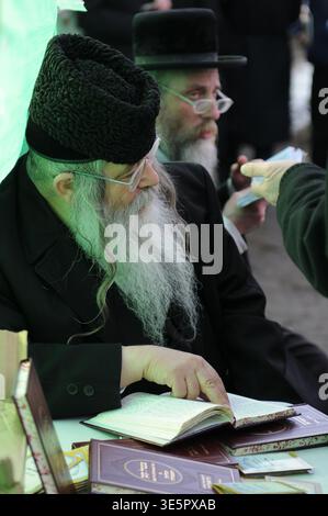 Un anziano chassidico con una lunga barba bianca che indossa un tradizionale cappello di pelliccia, studiando intensamente un testo ebraico sacro a Lezajsk. Foto Stock