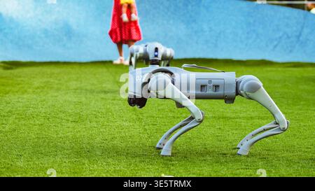 Il cane robot Unitree Go1 è in piedi su erba verde con le persone che osservano in background Foto Stock