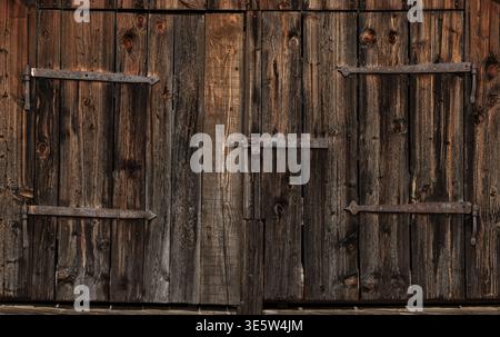Vista frontale di una vecchia porta di legno scuro con pannelli intemprati e cerniere in ferro arrugginito, fotografata come un dettaglio architettonico rustico. Foto Stock