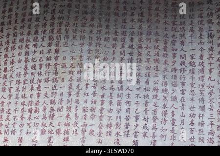 Antico testo scritto a mano in colonne verticali. Inchiostro nero su una superficie di carta ruvida usurata. I caratteri mostrano il tradizionale stile calligrafico dell'Asia orientale. Pap Foto Stock