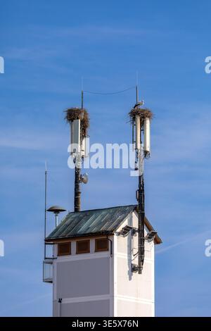 Torre cellulare con nido di cicogna su una torre in Germania Foto Stock
