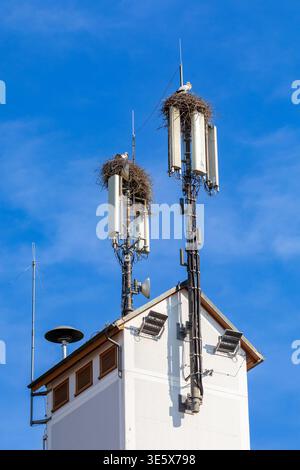 Torre cellulare con nido di cicogna su una torre in Germania Foto Stock