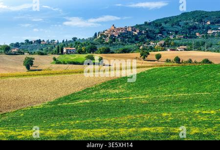 Vista panoramica del borgo medievale di Gualdo Cattaneo su una collina. Paesaggio agricolo con vigneti e campi del Sagrantino in Umbria, Italia Foto Stock