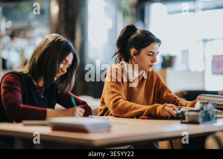 Due studenti che studiano insieme a un tavolo in un luminoso spazio di lavoro educativo Foto Stock