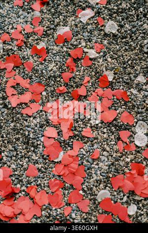 I vivaci petali rossi contrastano con le pietre grigie dopo l'evento di celebrazione Foto Stock
