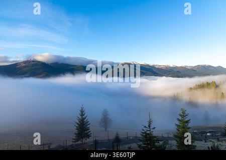 Nebbia sulla Mountain Valley sotto il cielo blu. Ampio panorama montano con la nebbia che scorre attraverso la valle, alberi sempreverdi e cielo azzurro limpido in calma Foto Stock
