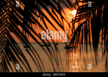 Yacht a vela sul mare calmo visti attraverso le foglie di palma al tramonto a Phuket, Thailandia Foto Stock
