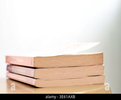 Una pila di libri è stata disposta uno sopra l'altro, mostrando conoscenze, istruzione e concetti di apprendimento. Ideale per temi di studio, letteratura, accademico Foto Stock