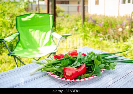 Un piatto con verdure ed erbe aromatiche su un tavolo in un giardino in natura, per preparare un picnic. Foto Stock