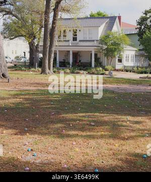 Panama City, Florida, Stati Uniti. 4 aprile 2026. Le colorate uova di Pasqua sono sparse sul prato del McKenzie Park nel centro storico di Panama City, in attesa dell'inizio dell'annuale caccia alle uova di Pasqua. Questo evento gratuito per famiglie invita i bambini a incontrare il coniglietto pasquale e a partecipare alla caccia, che è separata per gruppi di età per garantire un'esperienza divertente e sicura a tutti. La mattina di festa offre numerose opportunità fotografiche per le famiglie che celebrano le festività pubbliche e cercano di creare ricordi di primavera duraturi. Credito: Tosh Persons / Alamy Live News Foto Stock