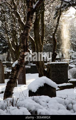 Neve retroilluminata che cade dagli alberi nel cimitero Holvallagardur Reykjavik Foto Stock
