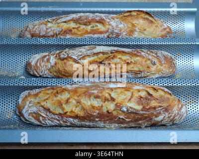 Baguette appena sfornate Foto Stock
