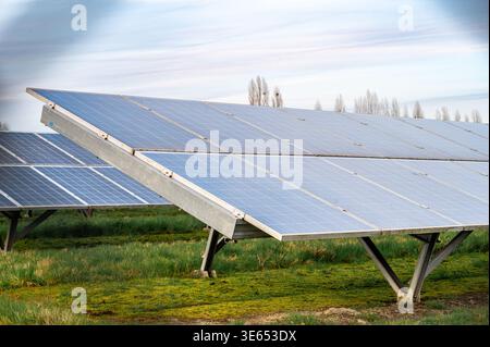 Telaio stretto che mostra le superfici dei moduli solari e i supporti metallici, riflessi sottili e schemi di produzione visibili, base erbosa e distante Foto Stock