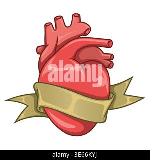 Illustrazione dettagliata di un cuore anatomico circondato da un elegante nastro rosso. Immagine a colori con texture realistiche e ombre morbide su bianco B. Illustrazione Vettoriale