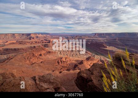 Vista dal Dead Horse Point State Park, nello Utah, che si affaccia sulle Canyonlands con il fiume Colorado che si snoda attraverso il paesaggio di canyon di roccia rossa a strati Foto Stock
