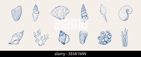 Conchiglie blu e stelle marine disegnano illustrazioni disegnate a mano, illustrazioni costiere. Linea artistica minimalista. Elementi di design per le vacanze estive per stampe alla moda. Illustrazione vettoriale Illustrazione Vettoriale