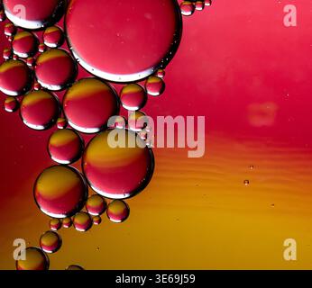 Vista ravvicinata delle gocce d'olio iridescenti sospese in acqua, creando un ipnotico schema astratto con gradienti di rosso e giallo Foto Stock