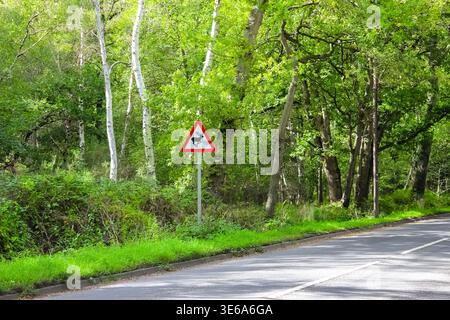 Una strada asfaltata curva oltre una lussureggiante foresta verde. Un cartello di avvertimento triangolare con bordo rosso e una silhouette nera di cervo si erge accanto al bordo erboso. Foto Stock