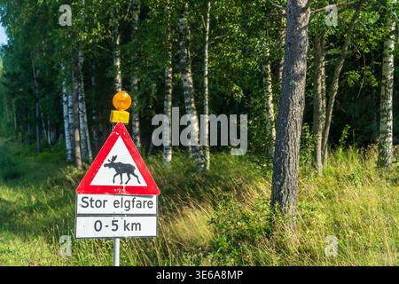 Un cartello stradale triangolare con il simbolo dell'alce avverte dell'attraversamento degli animali in Norvegia. Di seguito, una placca recita "Stor elgfare" (alto rischio di alce) per i prossimi 0-5 Foto Stock