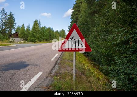 Un cartello stradale triangolare con il simbolo dell'alce avverte dell'attraversamento di animali vicino al fiume Numedalslågen. La strada asfaltata si estende tra pino e prua di betulla Foto Stock
