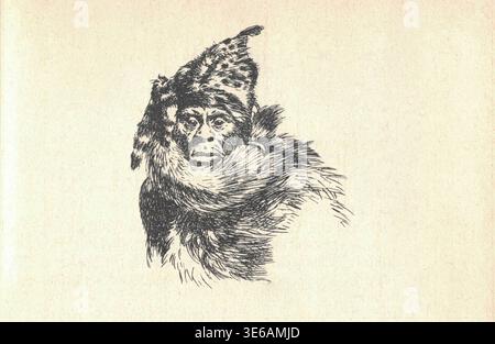 Schizzo vintage di un uomo selvaggio con cappello e sciarpa di pelliccia, che evoca l'esistenza primordiale. Un disegno a inchiostro vecchio stile raffigura un'aspra figura barba adornata con un cappello di pelliccia e una sciarpa spessa, che suggerisce un umano primitivo o selvaggio. Foto Stock