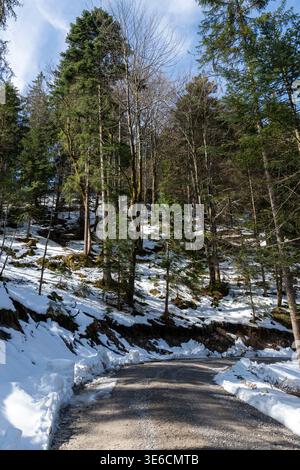 Strada di ghiaia curva che passa attraverso boschi sempreverdi con neve residua, un tranquillo paesaggio montano nel tardo inverno in Baviera, Germania Foto Stock