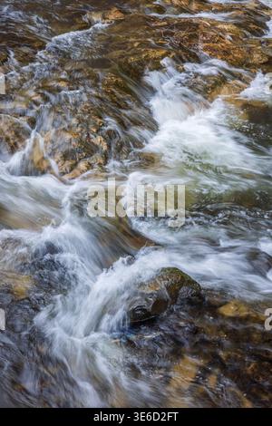 Fiume di montagna con forte corrente a Zakarpattia, Ucraina. L'acqua limpida scorre sopra le rocce, creando texture dinamiche e schizzi Foto Stock